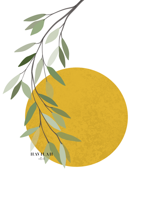 Sun and plant, minimalist drawing