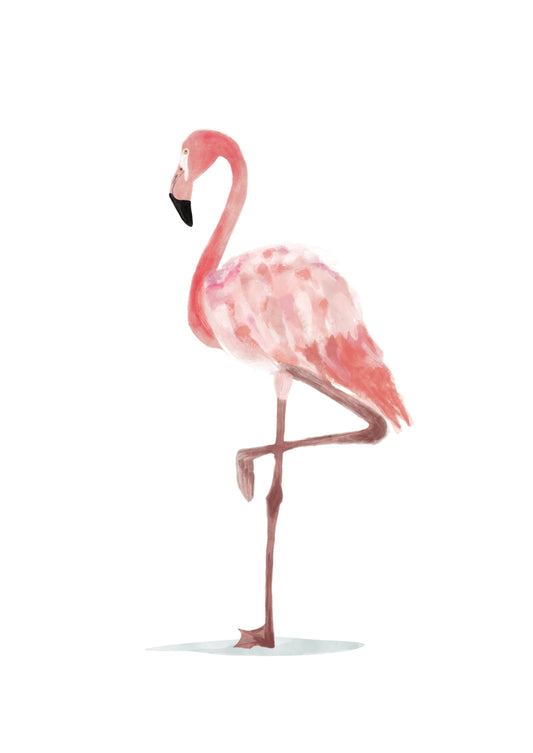 Flamingo, balance and grace